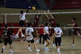 林靖凯赛季表现评估