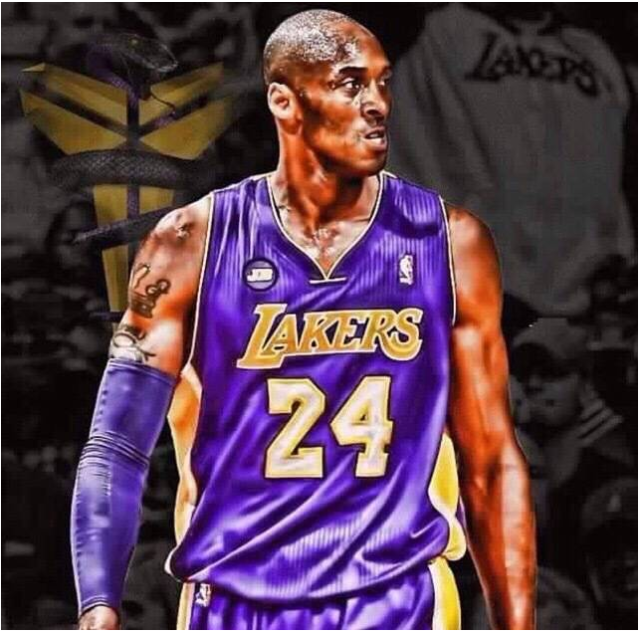 的一个完美 的一个完美