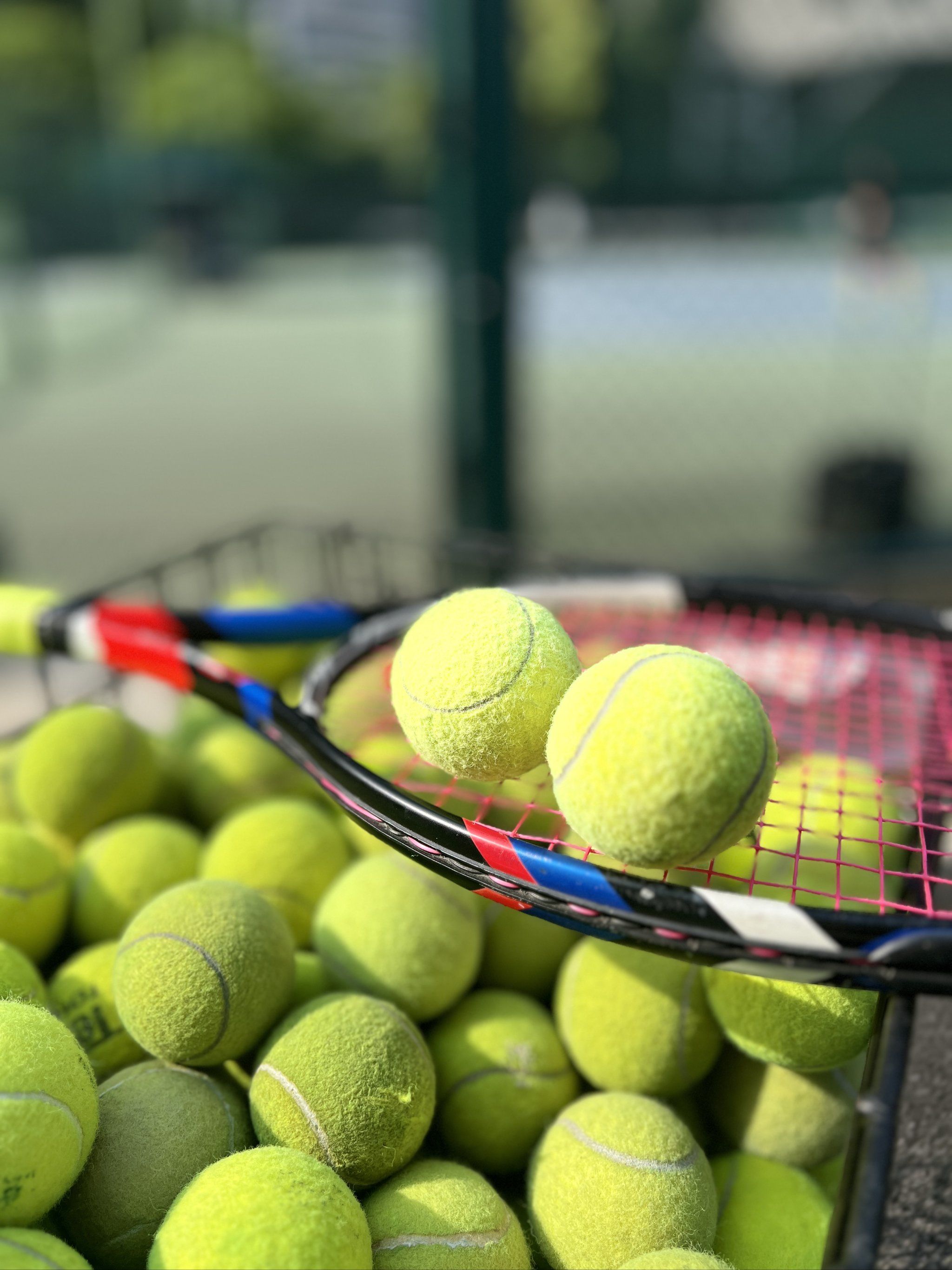 才能最终在 才能最终在